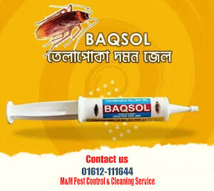 Baqsol Gel (Cockroach Killing Gel) – তেলাপোকা দূর করার সেরা সমাধান
